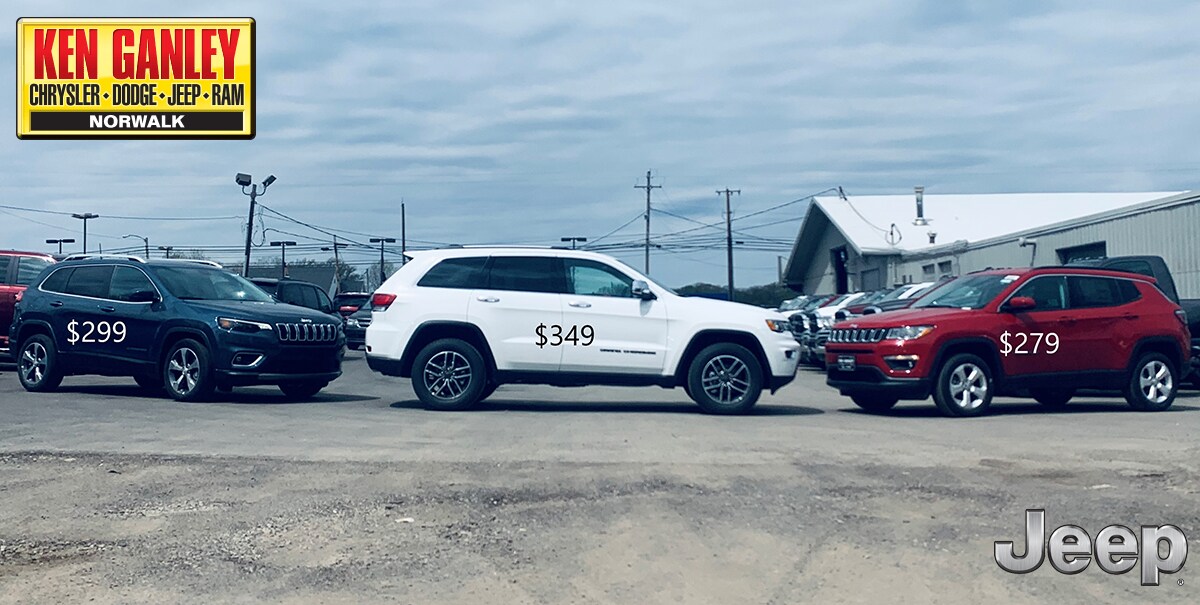 AllJeep-1.jpg