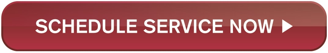 Nissan_XTime_SSO_Button_Artwork.jpg