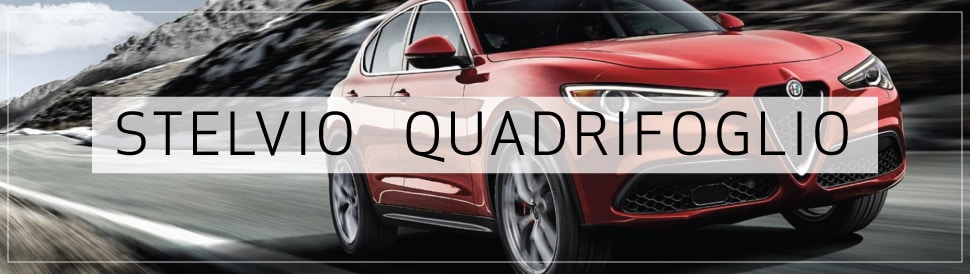 Stelvio Quadrifoglio