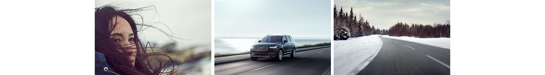 Volvo 2020