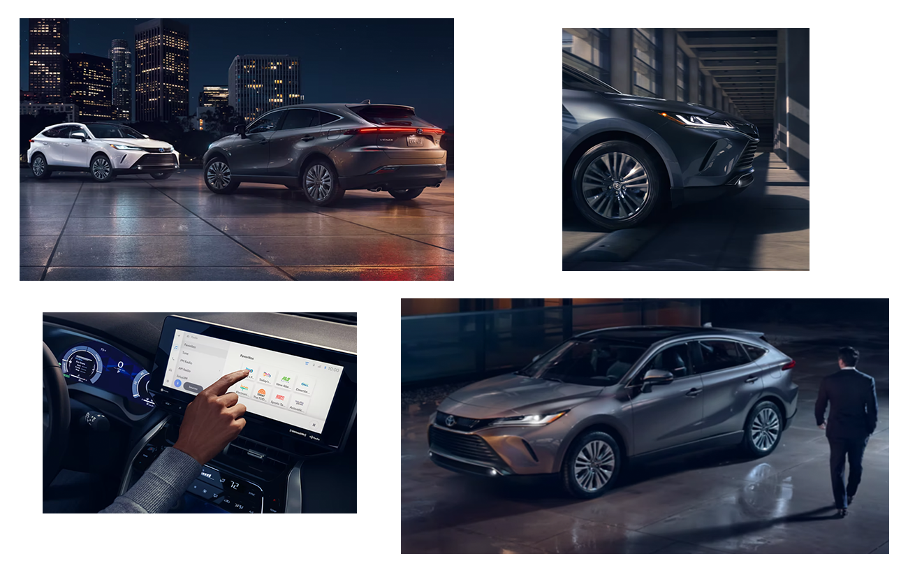 Venza Collage.png