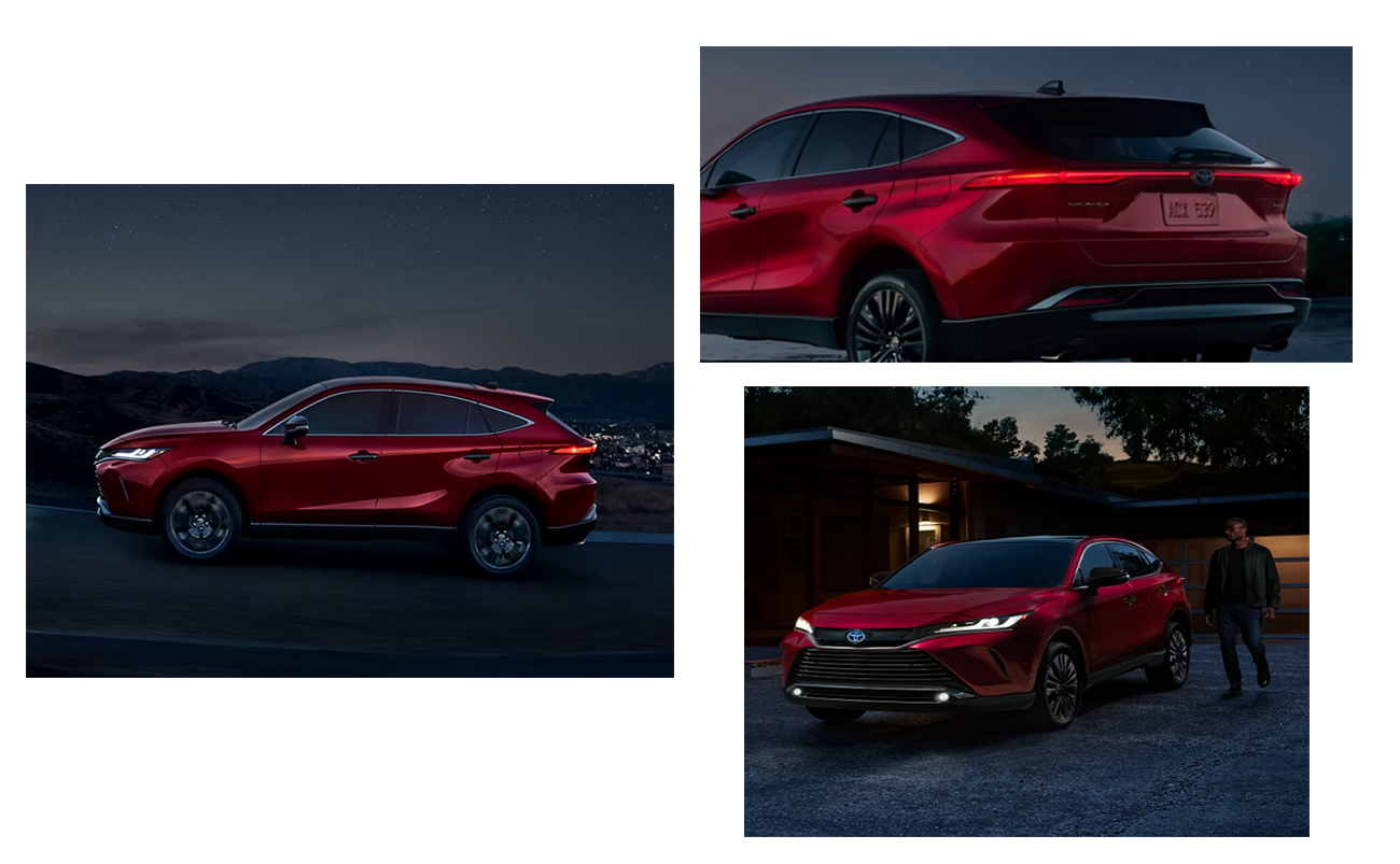 Venza Design.png
