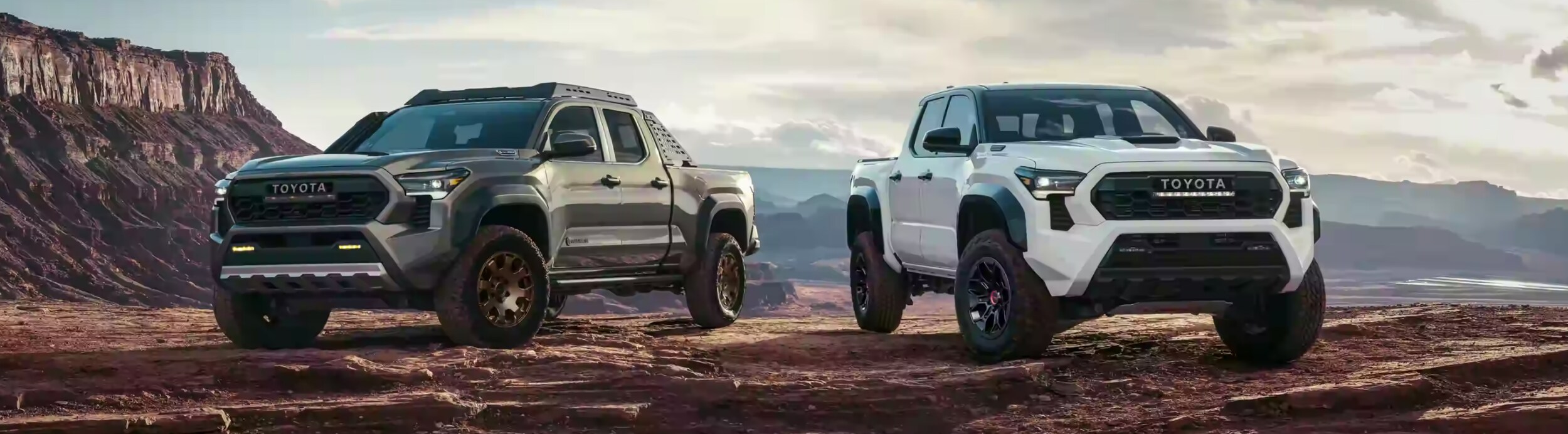 24 Tacoma Models.png
