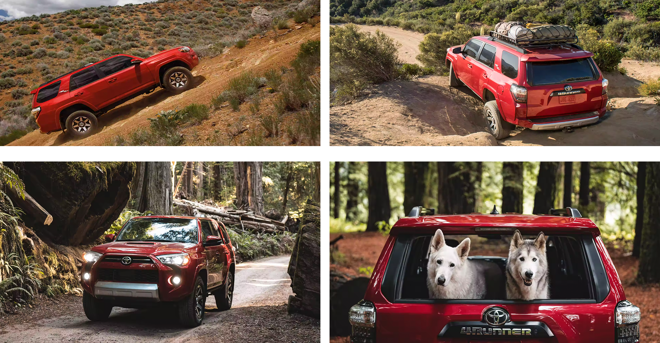 4RUNNER possible.png