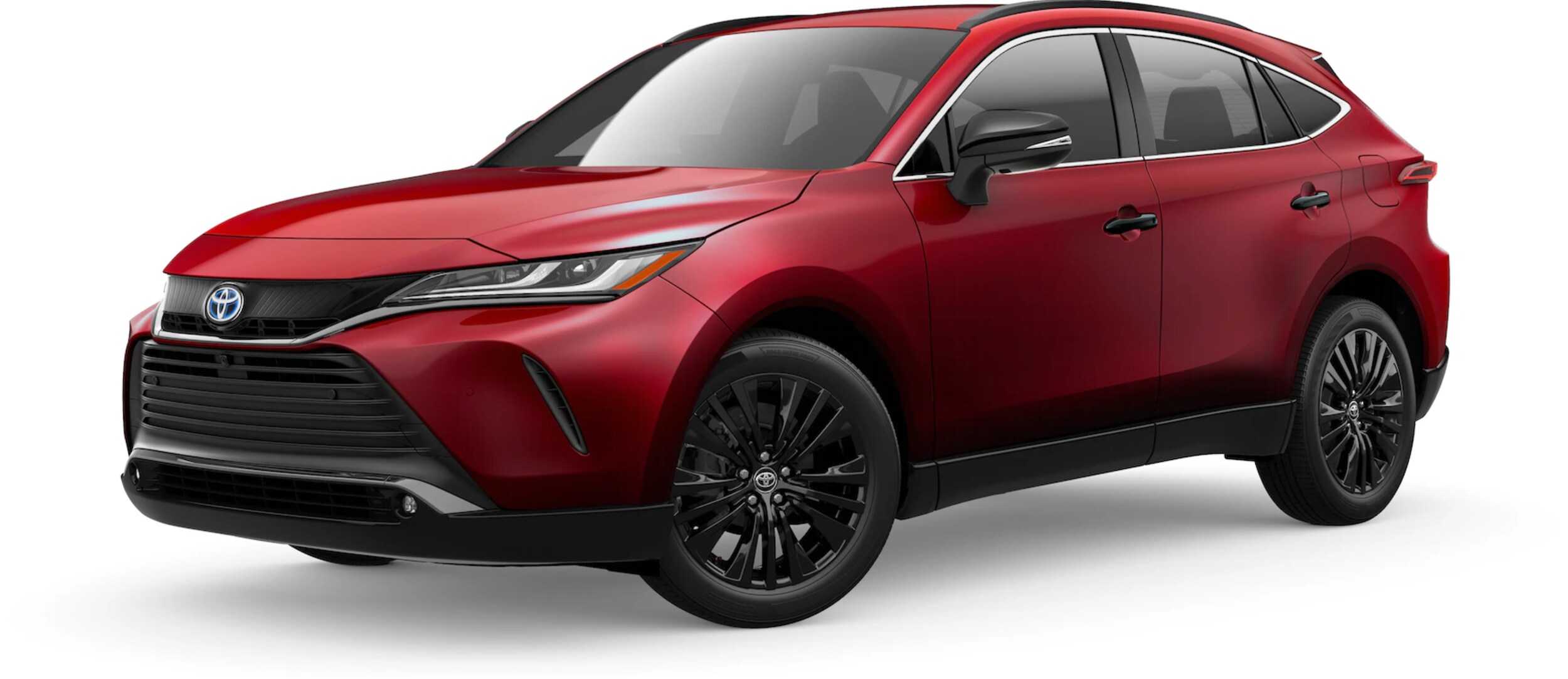 Venza Nightshade.png