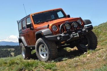 AEV 4.jpg