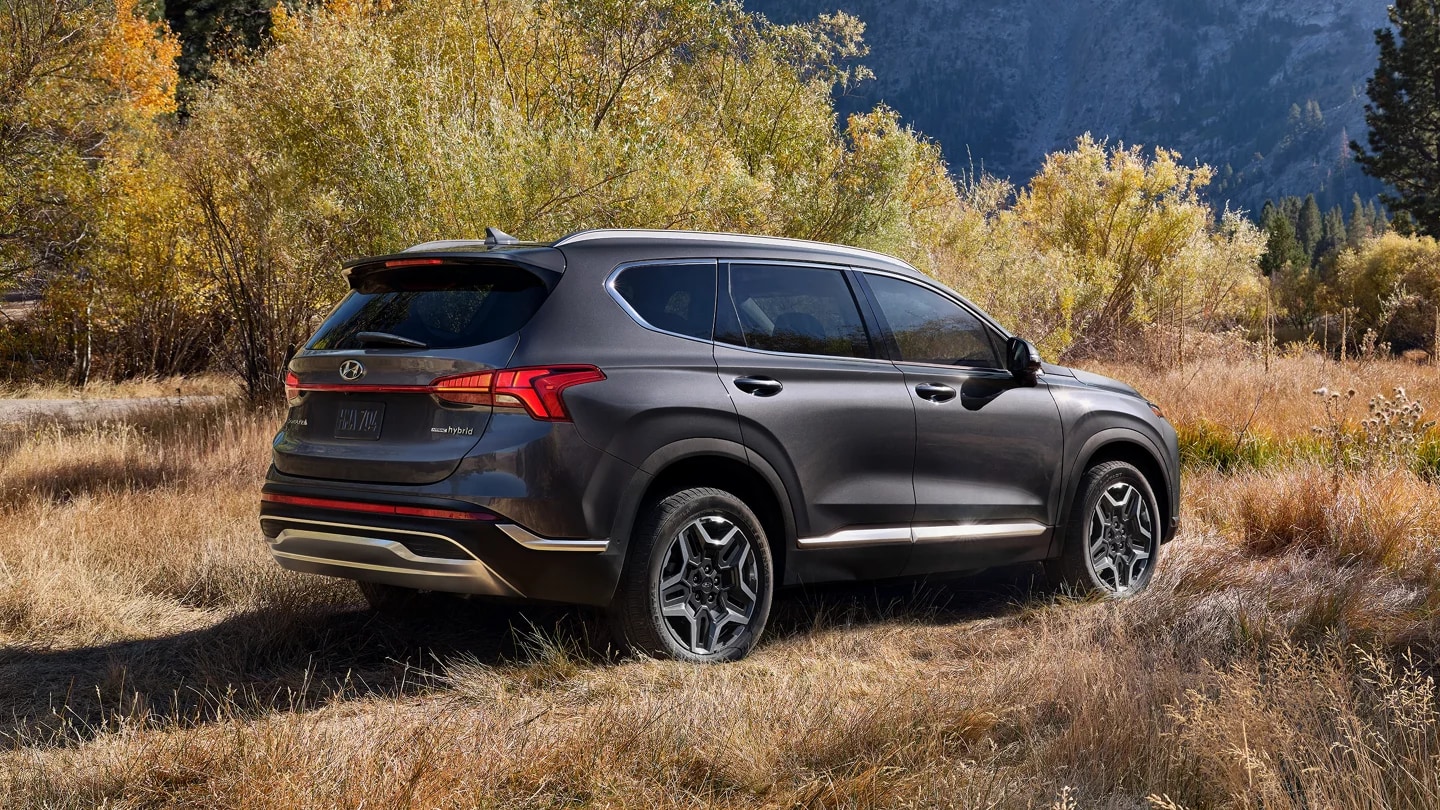 dark grey Hyundai Santa Fe parked in a dry, grassy area with yellow trees