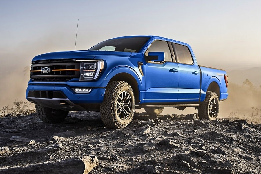 blue Ford F-150 pickup truck