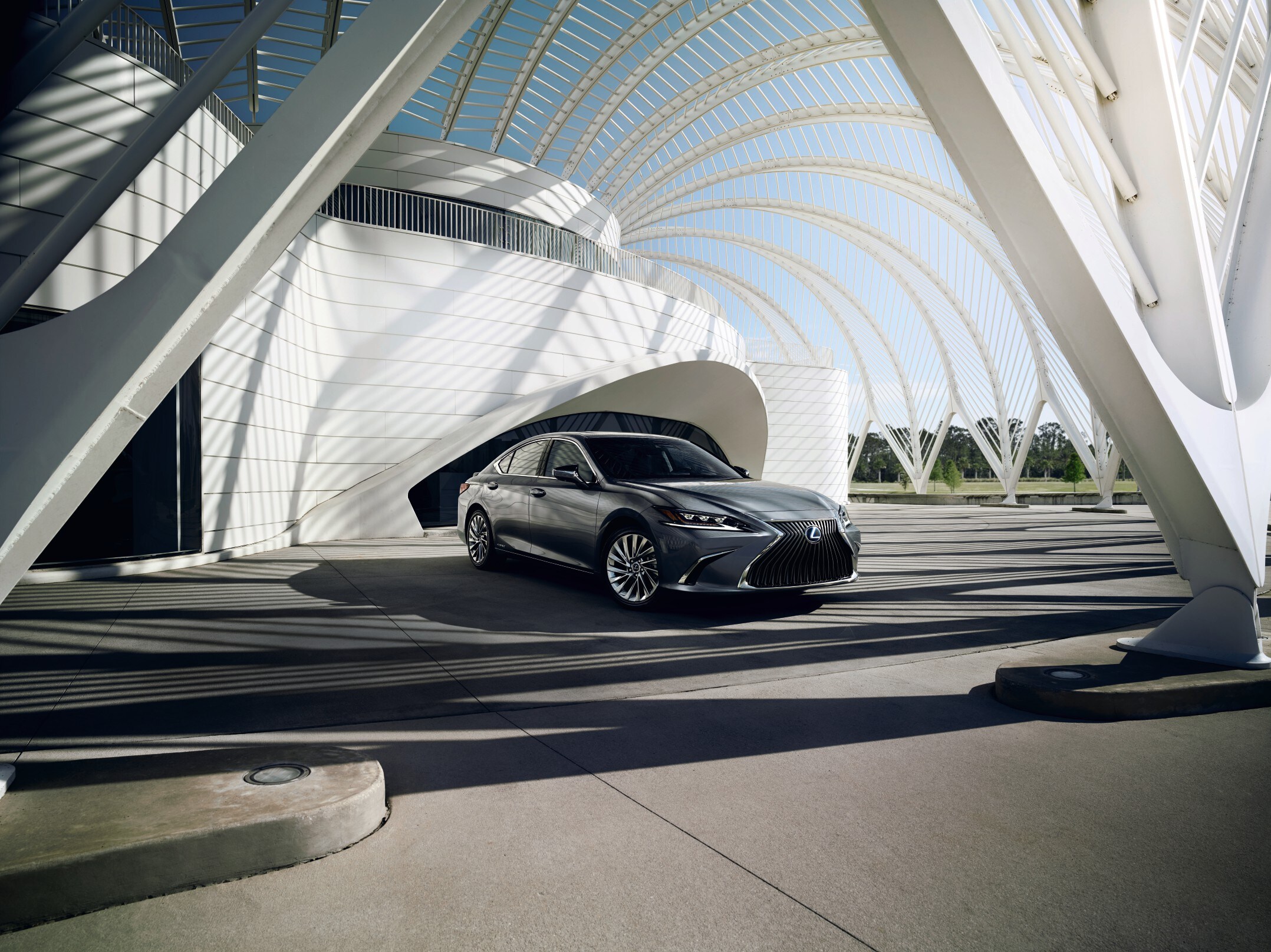 2021 Lexus ES.jpg