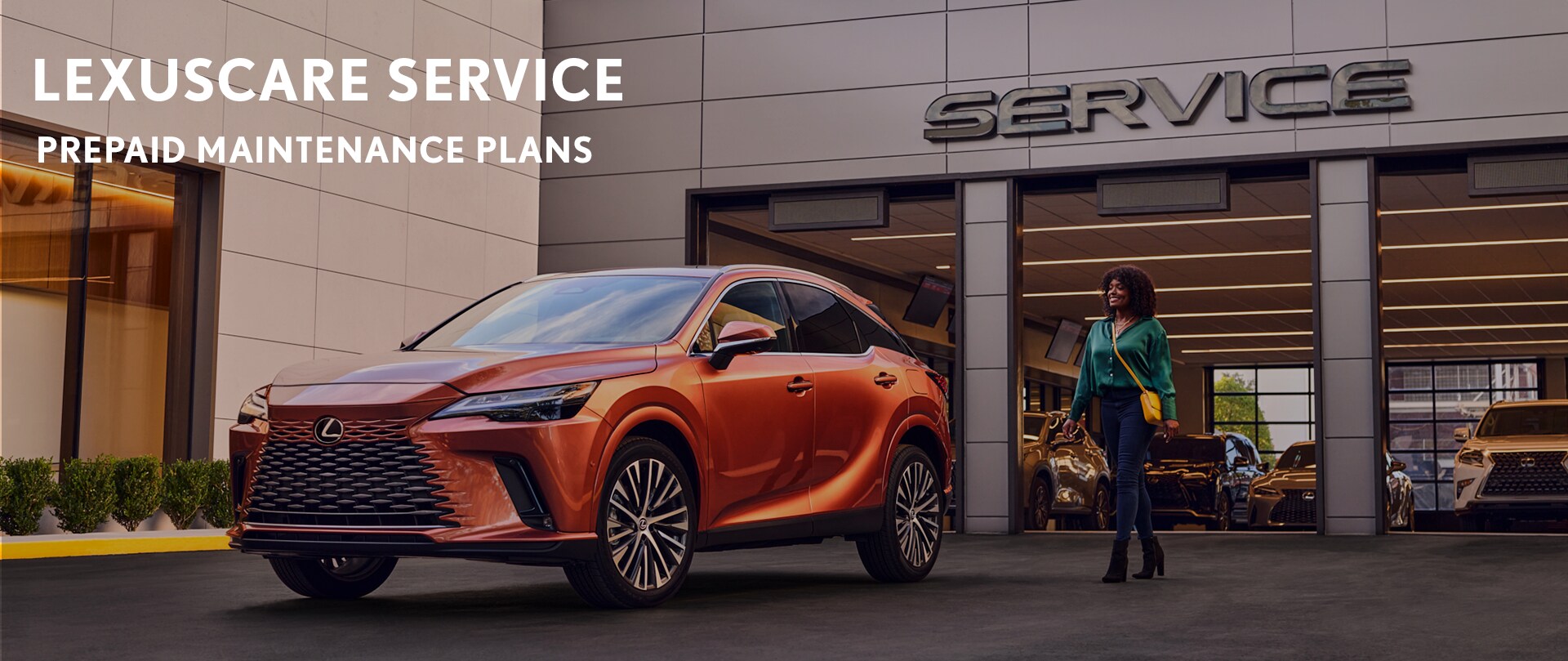 LexusCare Maintenance Header.png