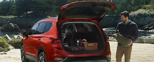 2019 Hyundai Santa Fe - Exterior