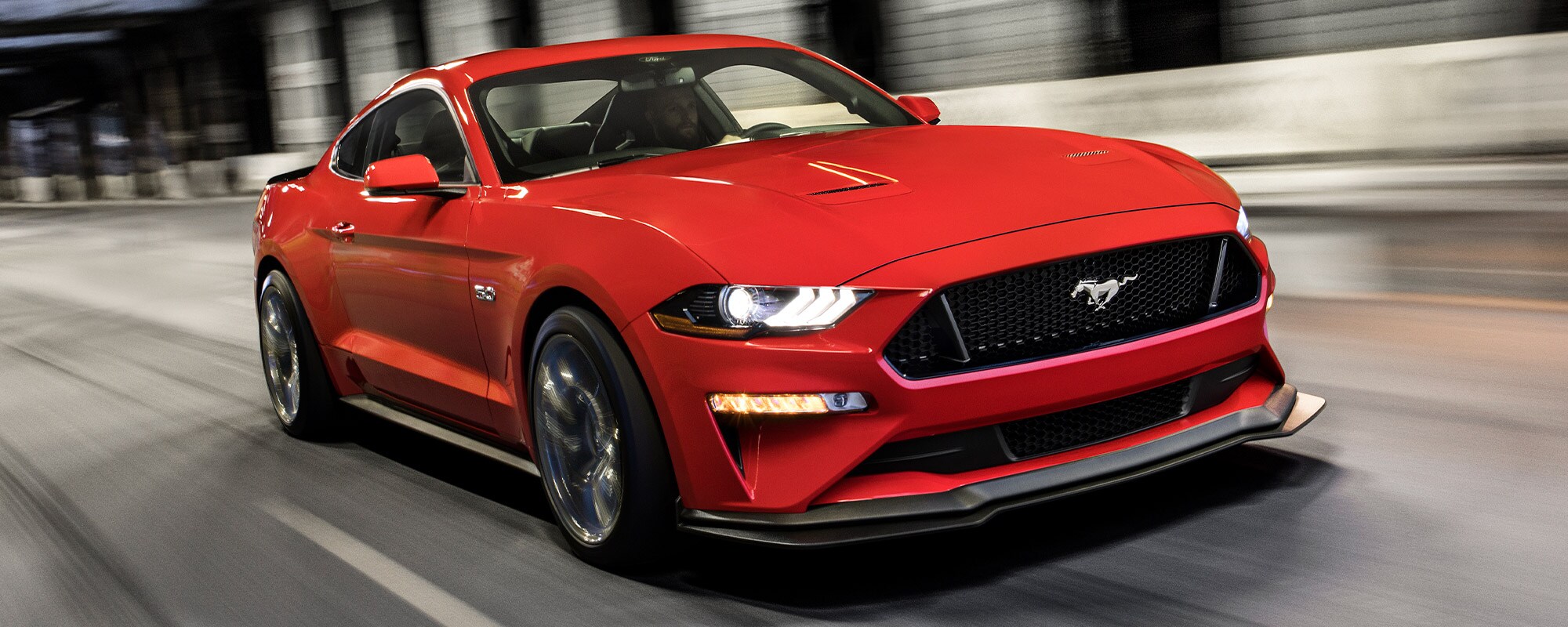 Mustang for sale