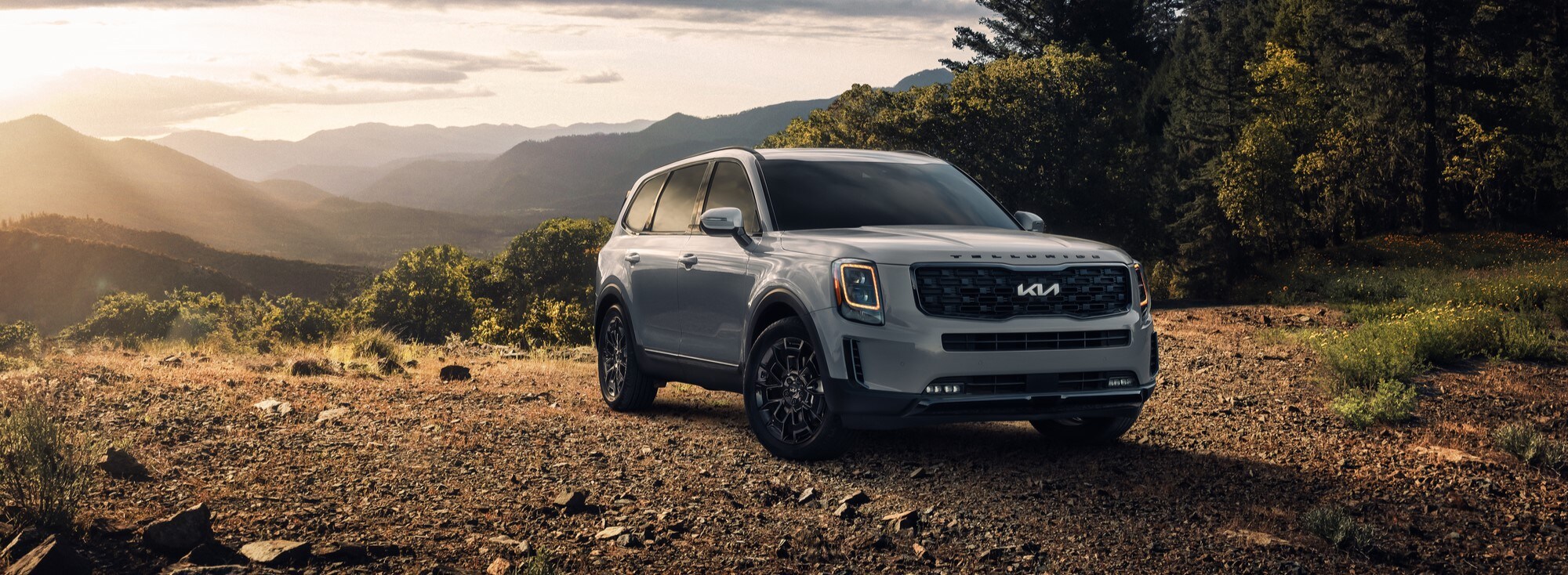 2025 Kia Telluride.jpg 2025 Kia Telluride for sale in Concord - Charlotte