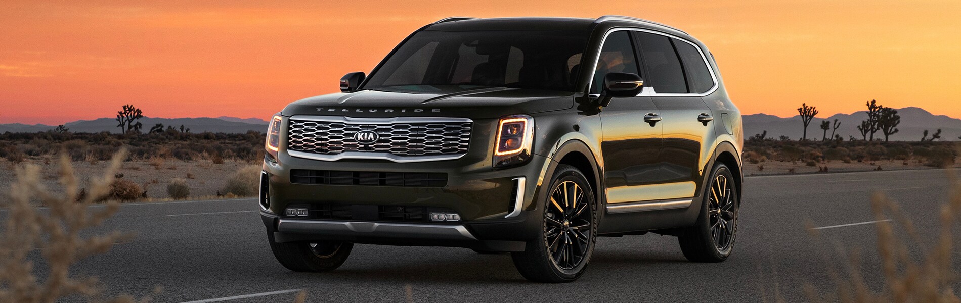 2021 Kia Telluride.jpg