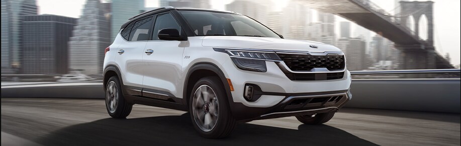 kiaseltos-header.png