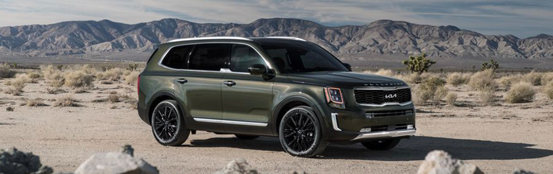 2022 telluride.jpg
