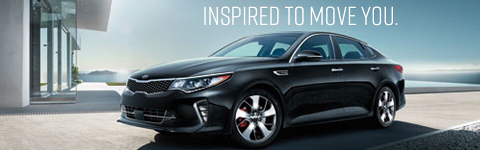 Optima Header.jpg
