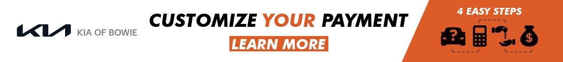 Customize Your Payment