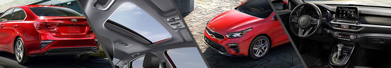 New 2019 Kia Forte for Sale New Bern NC