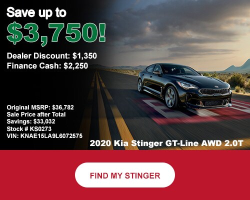 20-stinger-discount.jpg