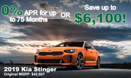 19-stinger-discount-apr.jpg