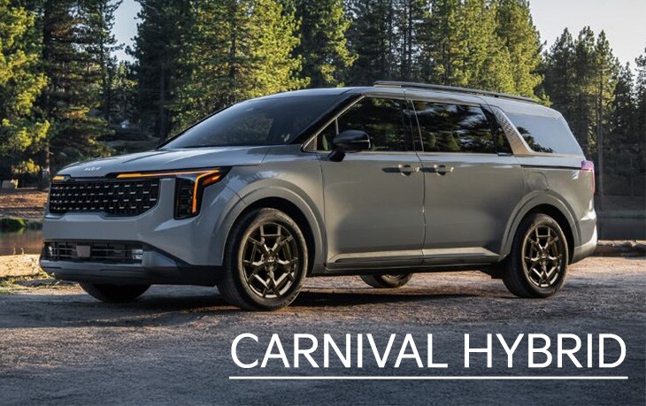 CARNIVAL%20HYBRID.jpg
