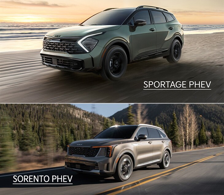 SPORTAGE%20SORENTO.jpg