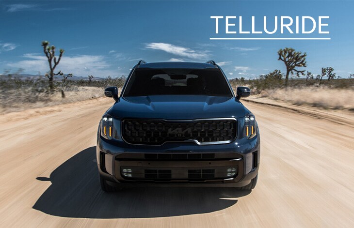 TELLURIDE.jpg