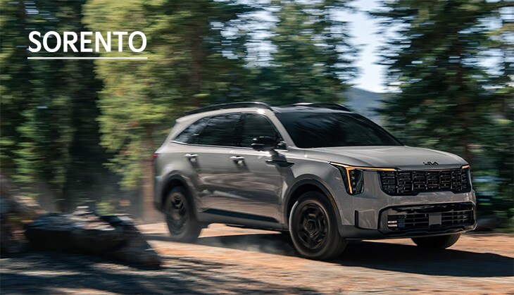 SORENTO.jpg