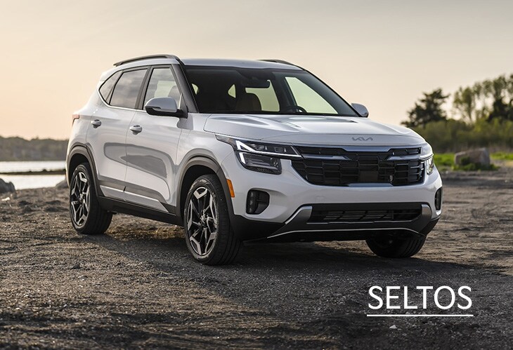 SELTOS.jpg