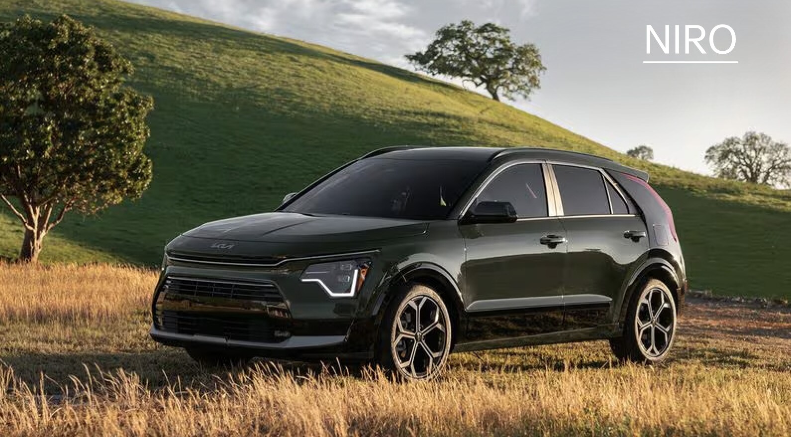 Niro.jpg