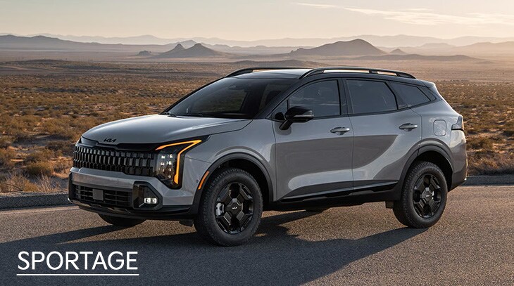 SPORTAGE LEASE.jpg