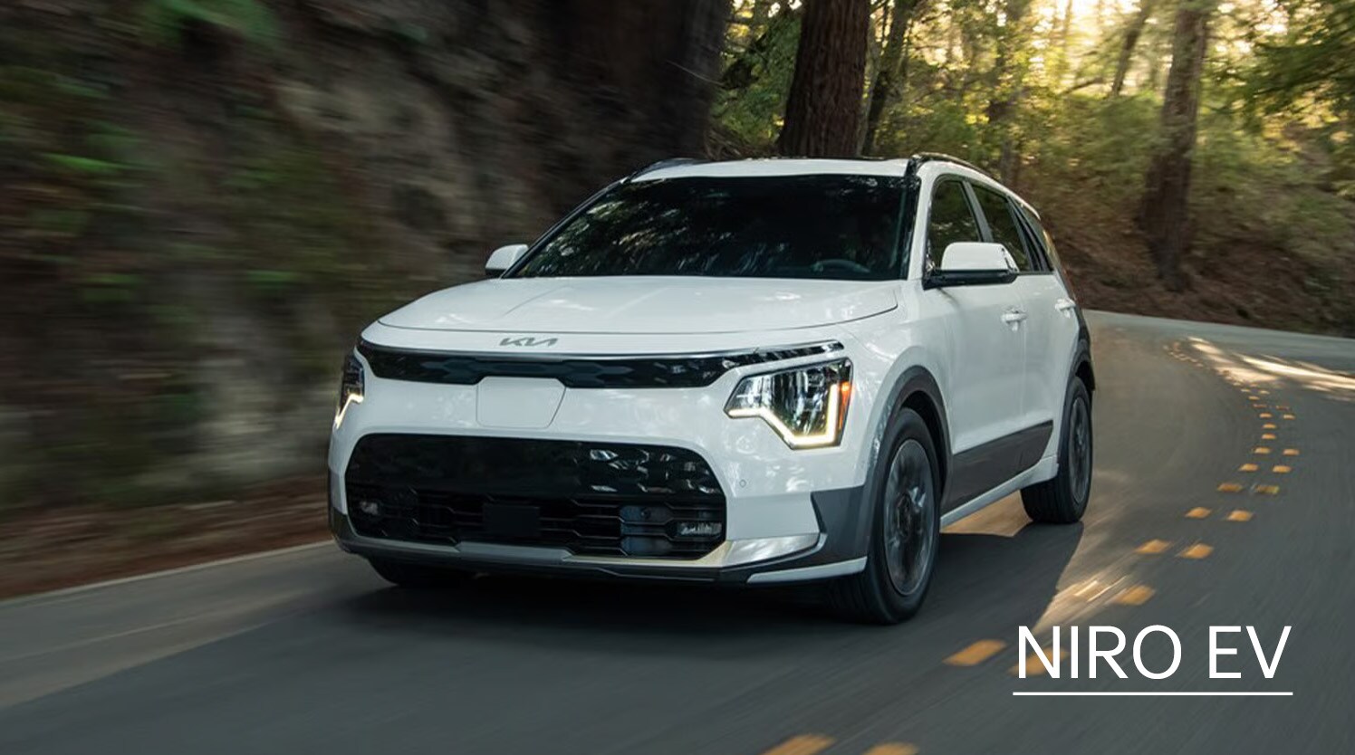 NIRO%20EV.jpg