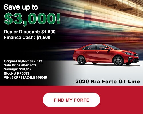 20-forte-discount.jpg