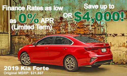 19-forte-discount-apr.jpg