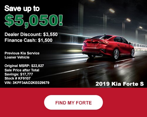 19-forte-discount.jpg