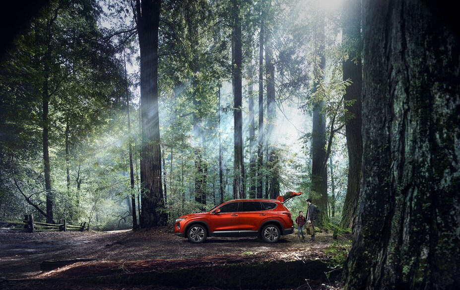2019-Hyundai-Santa-Fe-Limited-SUV-L01.png