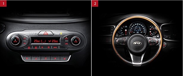 web page_sorento4.jpg