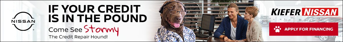 stormy-banner-april-2022.jpg