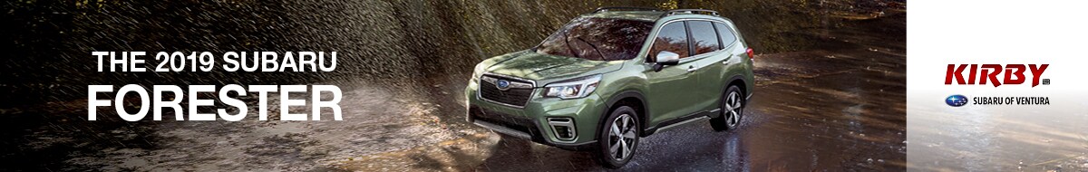 2019 Subaru Forester