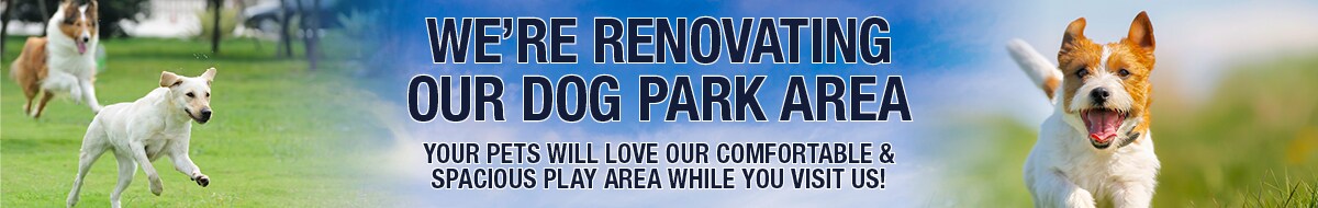 Dog Park