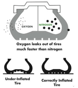 nitrogen-268x300.jpg