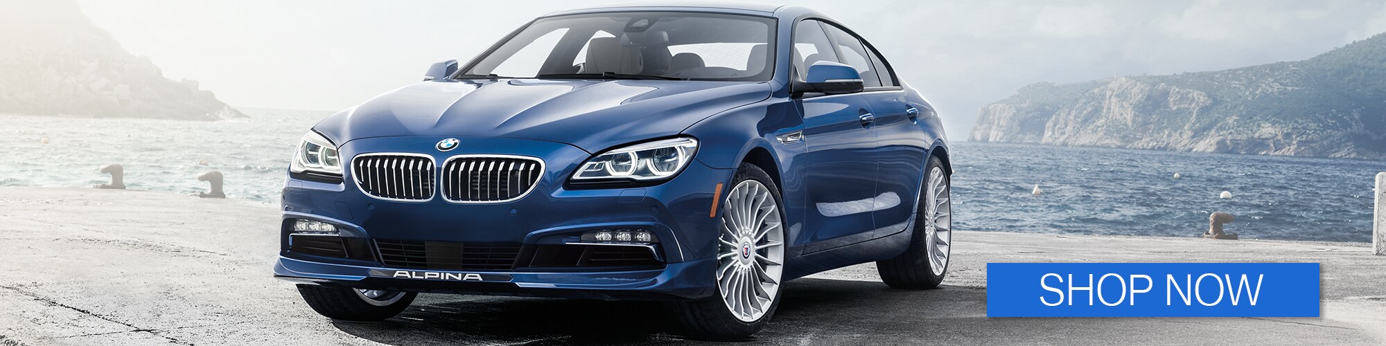 BMW in Mundelein.png