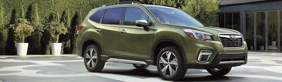19 Forrester Green banner.jpg
