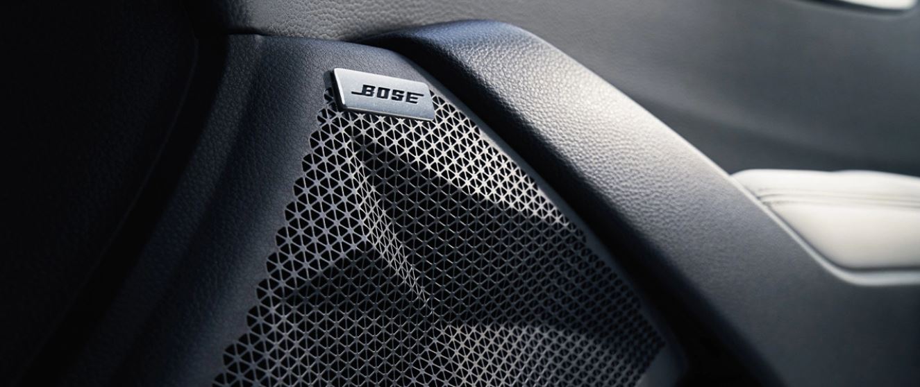 Bose.JPG