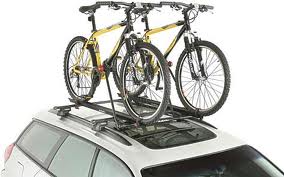 bikecarrier.jpg