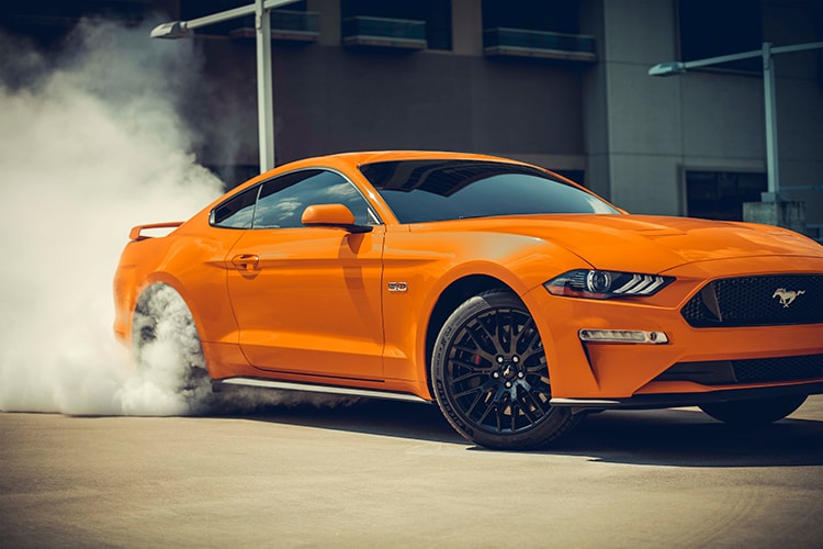 mustang.jpg