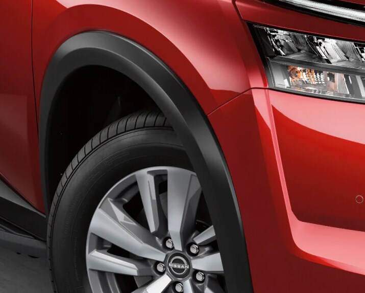 Satin Chrome Rear Bumper Protector