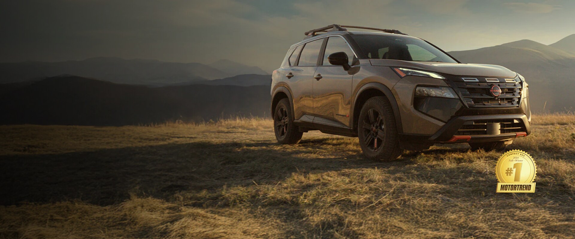 2025 Rogue