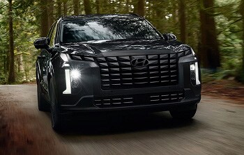 2025 Palisade